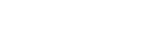Neolightic